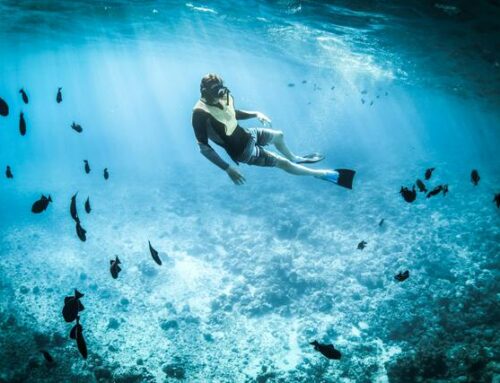7 deportes que practicar en verano